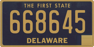 DE license plate 668645