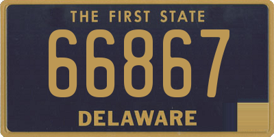 DE license plate 66867