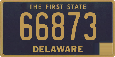 DE license plate 66873