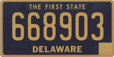 DE license plate 668903