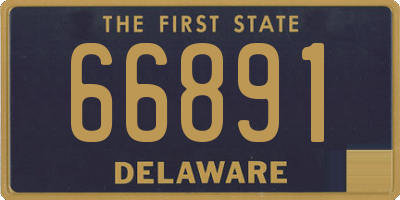 DE license plate 66891