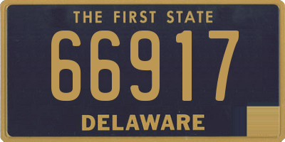 DE license plate 66917