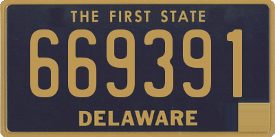 DE license plate 669391