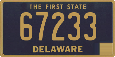 DE license plate 67233