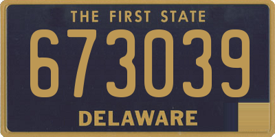DE license plate 673039
