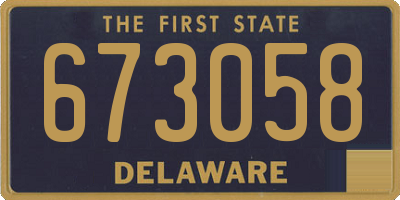 DE license plate 673058