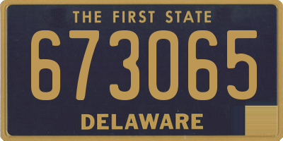 DE license plate 673065
