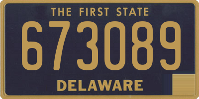 DE license plate 673089
