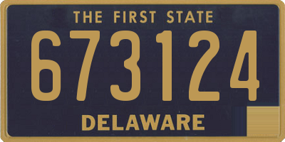 DE license plate 673124