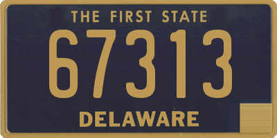 DE license plate 67313