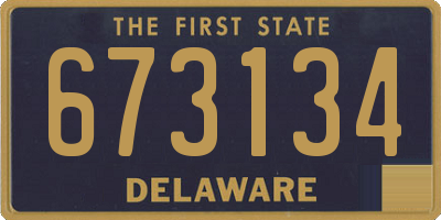DE license plate 673134
