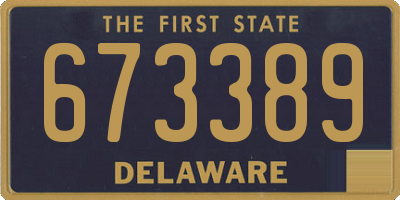 DE license plate 673389