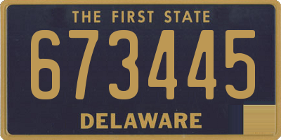 DE license plate 673445