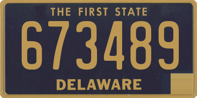 DE license plate 673489