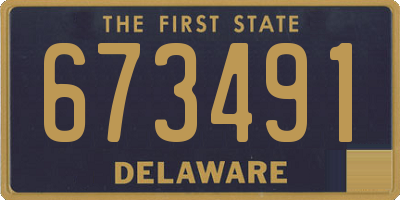 DE license plate 673491