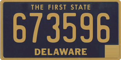 DE license plate 673596