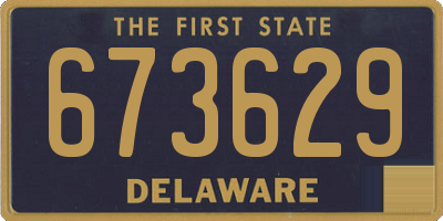 DE license plate 673629
