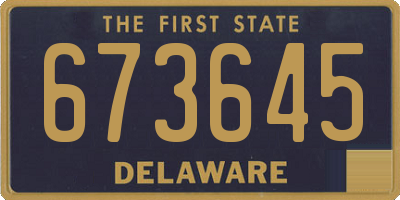 DE license plate 673645