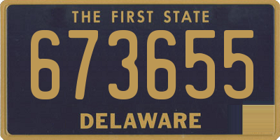 DE license plate 673655