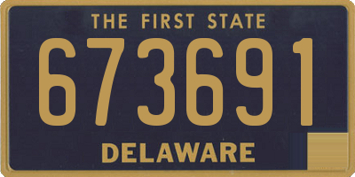 DE license plate 673691
