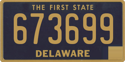 DE license plate 673699
