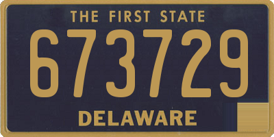 DE license plate 673729