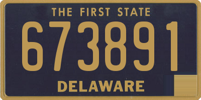 DE license plate 673891