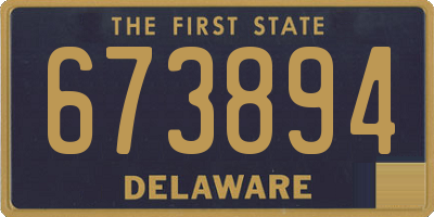 DE license plate 673894
