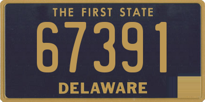 DE license plate 67391