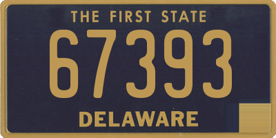 DE license plate 67393