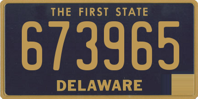 DE license plate 673965