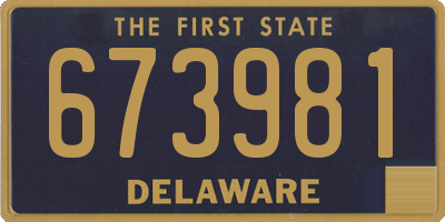 DE license plate 673981