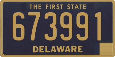 DE license plate 673991