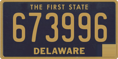 DE license plate 673996