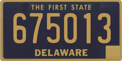 DE license plate 675013