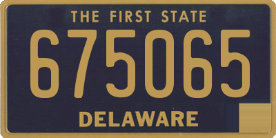 DE license plate 675065