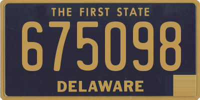 DE license plate 675098
