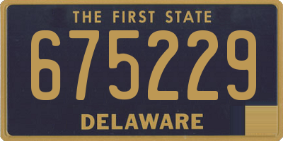 DE license plate 675229