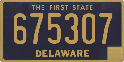 DE license plate 675307