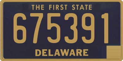 DE license plate 675391