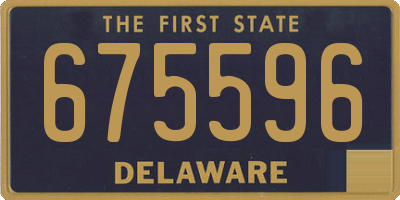 DE license plate 675596
