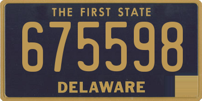 DE license plate 675598