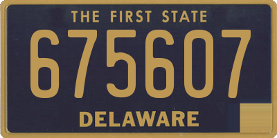 DE license plate 675607