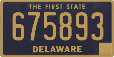 DE license plate 675893