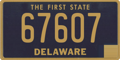 DE license plate 67607