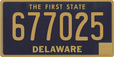 DE license plate 677025