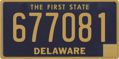 DE license plate 677081