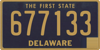 DE license plate 677133