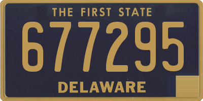 DE license plate 677295