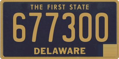 DE license plate 677300